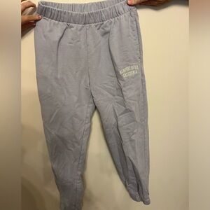 Blue Newport Beach Brandy Melville Sweatpants